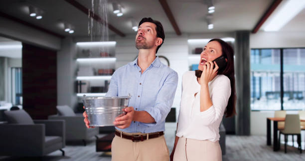 Best Residential Water Damage Restoration in Sunset, UT